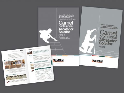 Convocatoria Curso Carnet Profesional Alicatador Solador de Nivel 1 en Castellón.