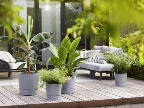 Los sistemas de autorriego elho cuidan las plantas mientras desconectamos