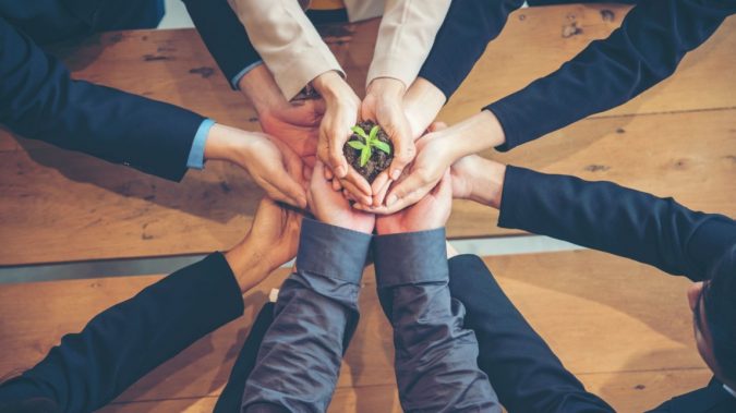 The lead theme of DOMOTEX 2023 made tangible – THE GREEN COLLECTION creates space for sustainable products