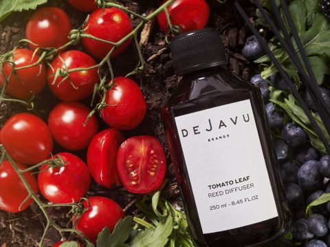 “Tomato Leaf” y “Red Berries”, las nuevas fragancias de hogar de Dejavu Brands