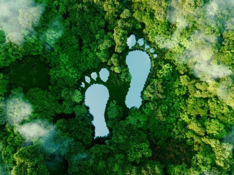 Faro Barcelona consigue la certificación de la huella de carbono según ISO14064