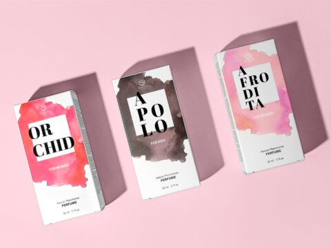 ¡Secret Play relanza su colección de perfumes top ventas!