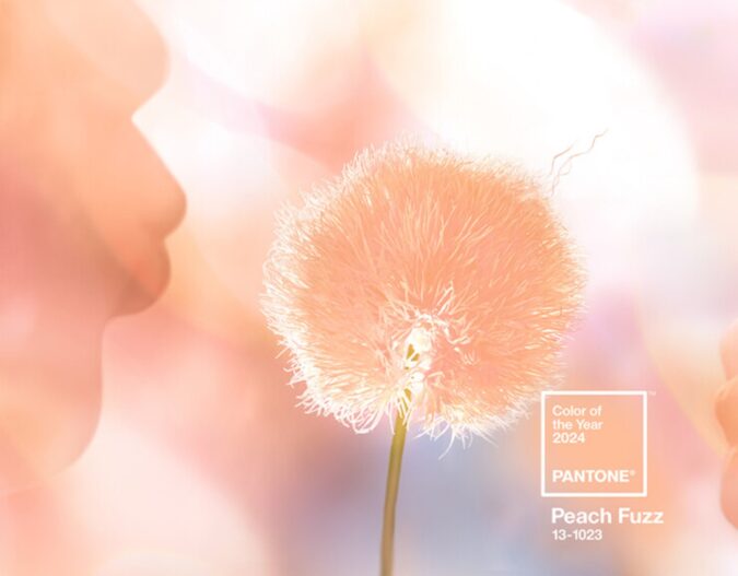 Peach Fuzz: el color Pantone del año 2024
