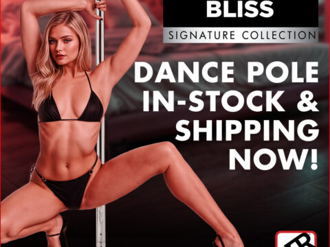 Bedroom Bliss Deluxe Dance Pole
