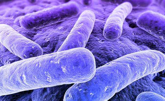XI Congreso Nacional de Legionella y Calidad Ambiental