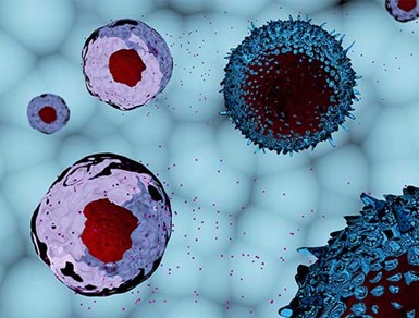 Amsbio: High purity exosome standards enhance research reproducibility