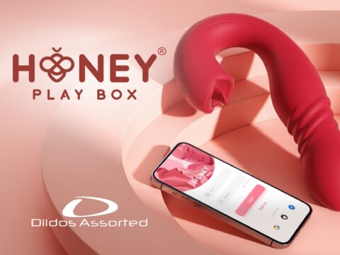 Dildos Assorted suma HONEY PLAYBOX a su catálogo exclusivo