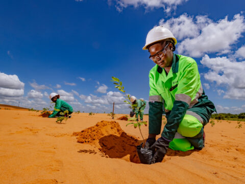 ZIA publishes fifth ESG and Sustainability Benchmarking Report