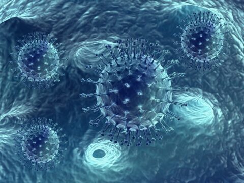 Transduction-ready viral particles