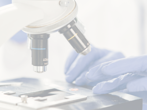 ENAC y SEMEDLAB impulsan su colaboración para fortalecer la medicina de laboratorio