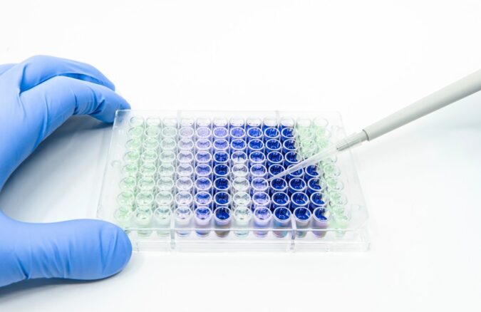Validated monospecific recombinant and monoclonal antibodies