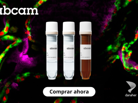 Compre dos anticuerpos primarios Abcam y obtenga un anticuerpo secundario gratis*