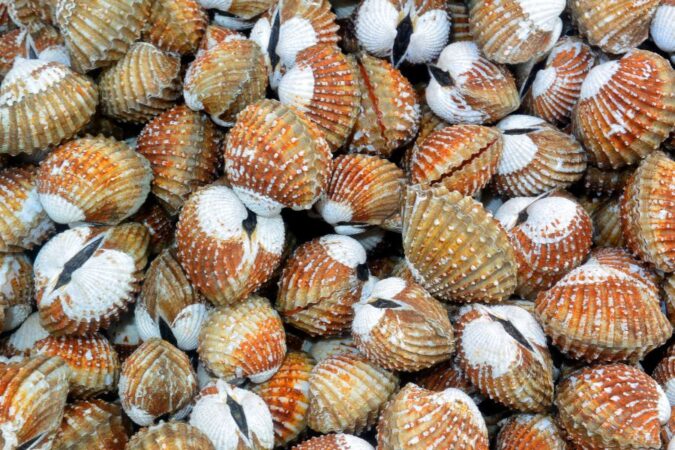 El Laboratorio de Biotoxinas Marinas de AESAN, primer proveedor de ensayos de aptitud acreditado para determinar biotoxinas marinas en moluscos bivalvos