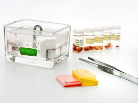 Well-characterised biospecimens assist development of cancer immunotherapies